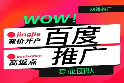 企业案例：SEM推广代运营成果展示